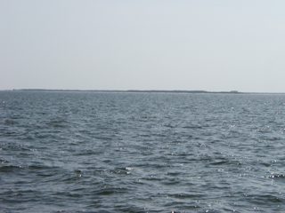 P1010007.JPG