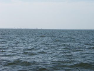 P1010011.JPG