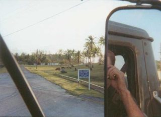 WATERBUFFALO.JPG