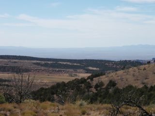 P1010005.JPG