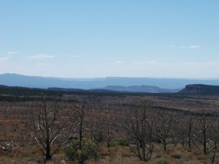 P1010006.JPG