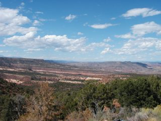 P1010020.JPG