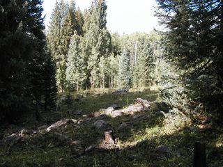 P1010036.JPG
