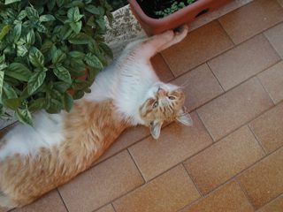 P1010030.JPG