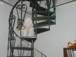 P1010031.JPG