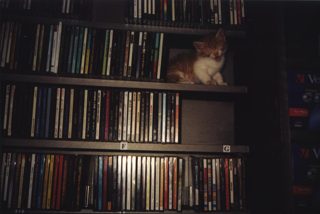 babyMillolistenin_music.jpg