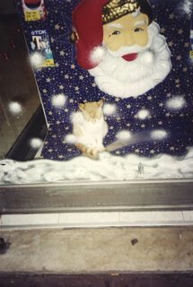 xmastime4Millotoo!.JPG
