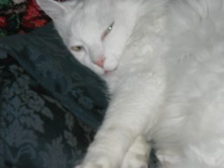 P1010006.JPG