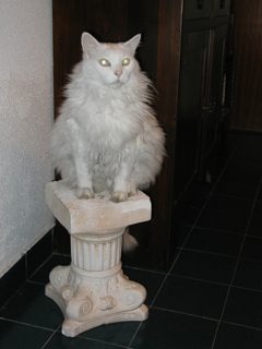 P1010001.JPG