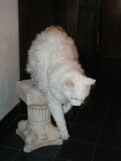 P1010002.JPG