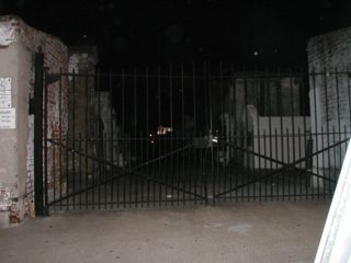 P1010033.JPG