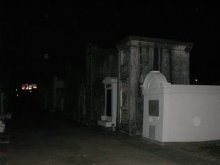 P1010035.JPG