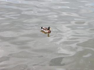P1010036.JPG