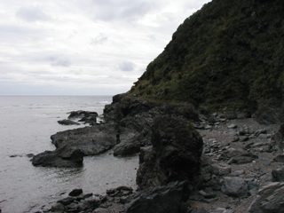 P1010005.JPG