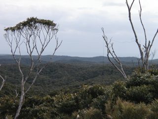 P1010023.JPG