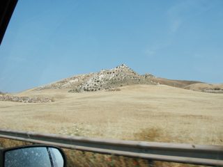 P1010003.JPG