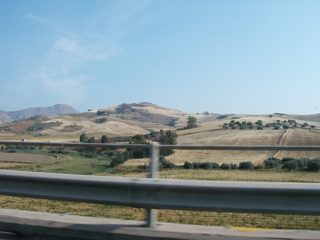 P1010004.JPG