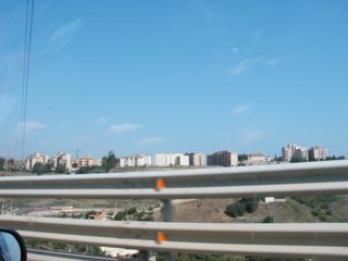 P1010010.JPG
