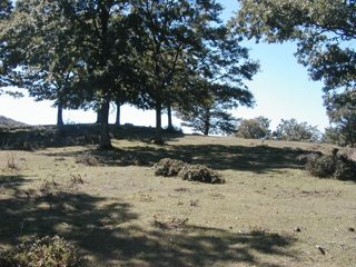 P1010009.JPG