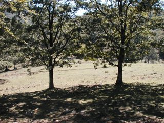 P1010010.JPG
