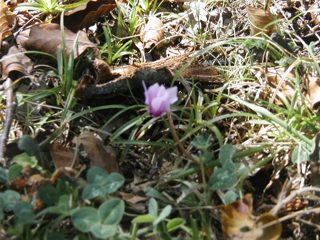 P1010011.JPG