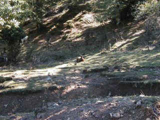 P1010018.JPG