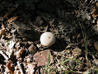 P1010028.JPG