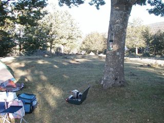 P1010035.JPG