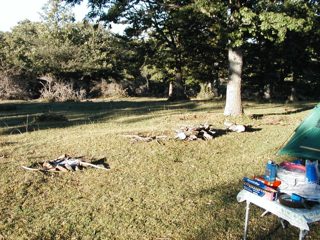 P1010036.JPG