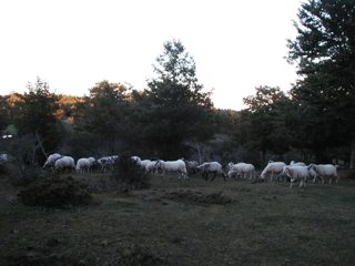 P1010041.JPG