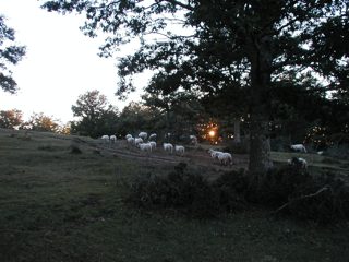 P1010044.JPG