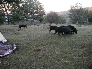 P1010047.JPG