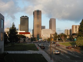 P1010008.JPG