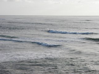 P1010012.JPG