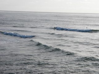 P1010013.JPG