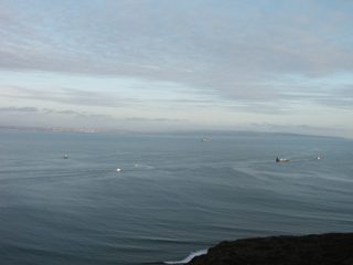 P1010016.JPG