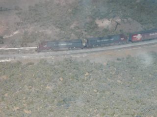 P1010044.JPG