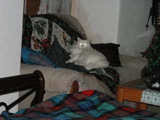 P1010004.JPG