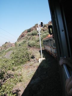 P1010005.JPG