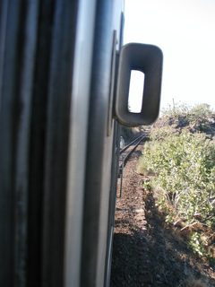 P1010008.JPG