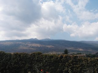 P1010012.JPG