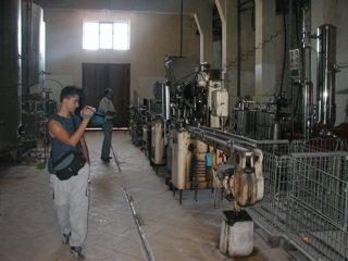P1010013.JPG