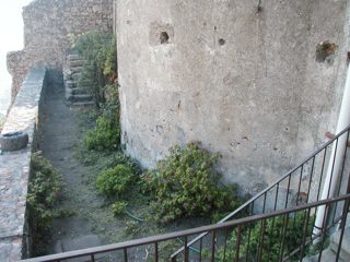 P1010040.JPG