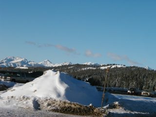 PC220008.JPG