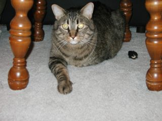 PC210002.JPG