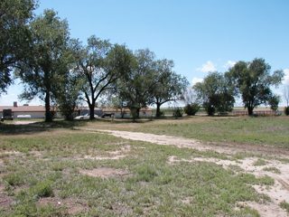 P6050007.JPG