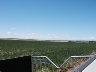 P6050009.JPG