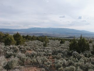 P1010001.JPG