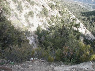 P1010003.JPG