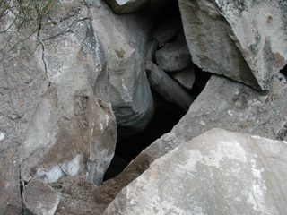 P1010008.JPG